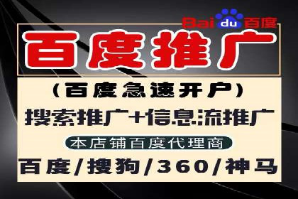 百度竞价SEM策略解析：某品牌广告成功的关键因素